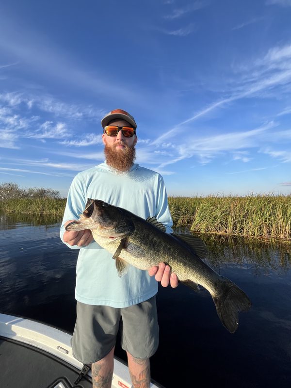 Angler holding a long largemouth bass in front of a reed line on a fall afternoon