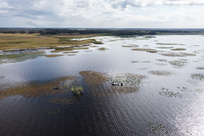 Aerial view of Lake Kissimmee grass flats and scattered hydrilla beds on a clear winter morning