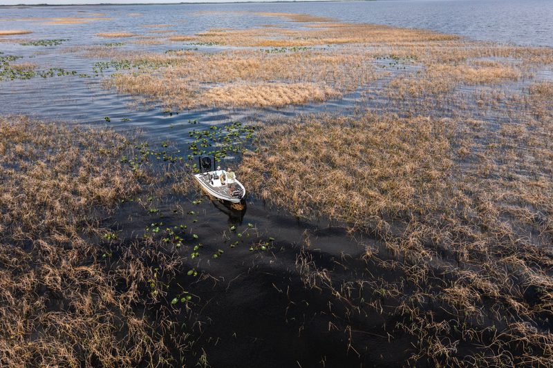 Guided bass boat on a grass edge, photographed from above