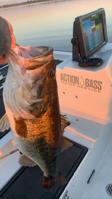 Largemouth bass held beside the Action Bass Guide Service console at sunrise