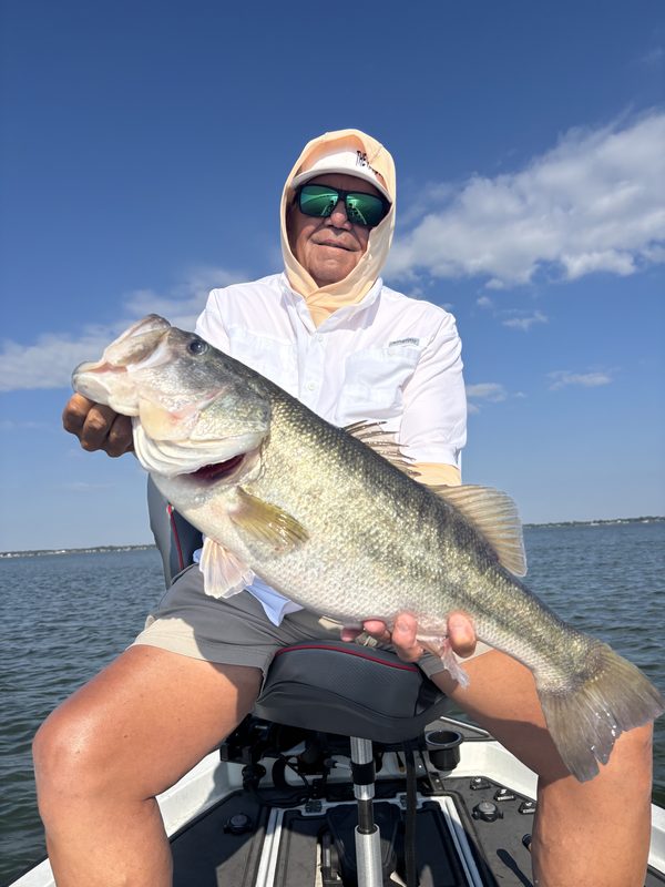Angler holding a broad trophy largemouth bass horizontally on a guided fishing trip