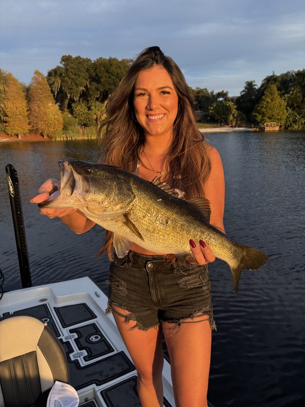 Woman angler holding a largemouth bass on the bow of a bass boat with a wooded shoreline behind